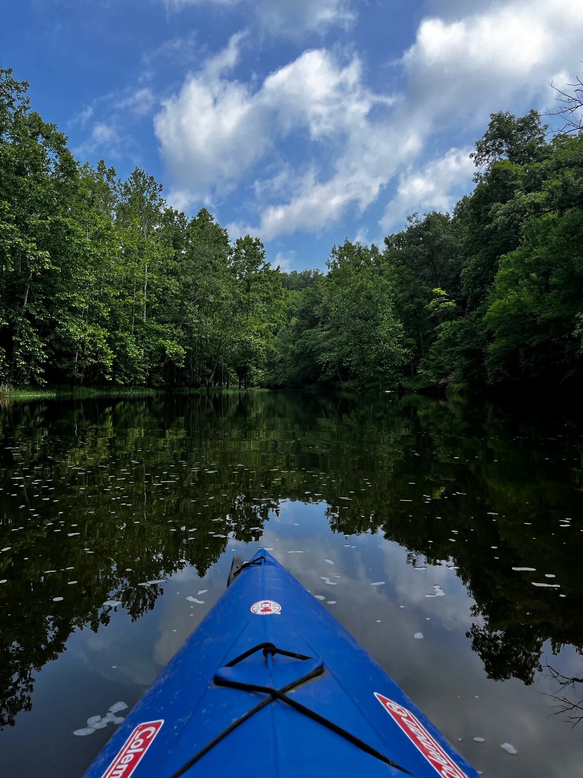 Paddling 